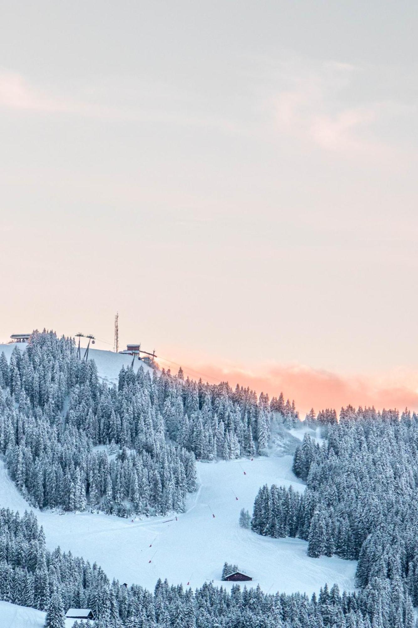 מגב Chalet Mont D'Arbois Ski Et Golf מראה חיצוני תמונה